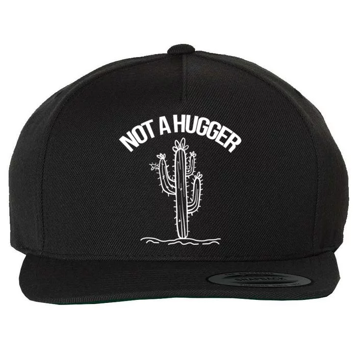 Not A Hugger Funny Vintage Cactus Sarcastic Wool Snapback Cap