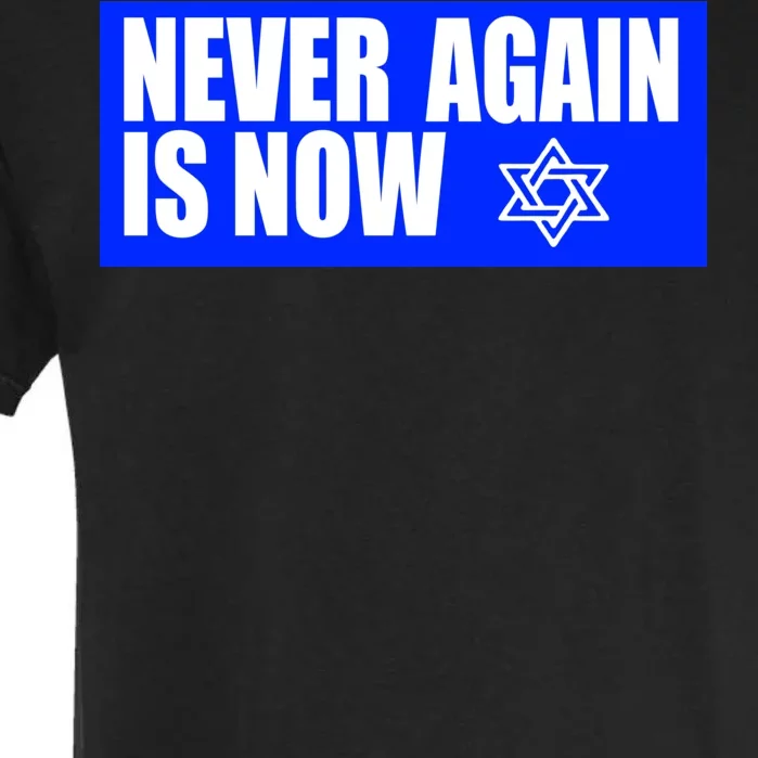 Never Again Is Now Jewish Israel Pride Am Yisrael Chai Garment-Dyed Heavyweight T-Shirt