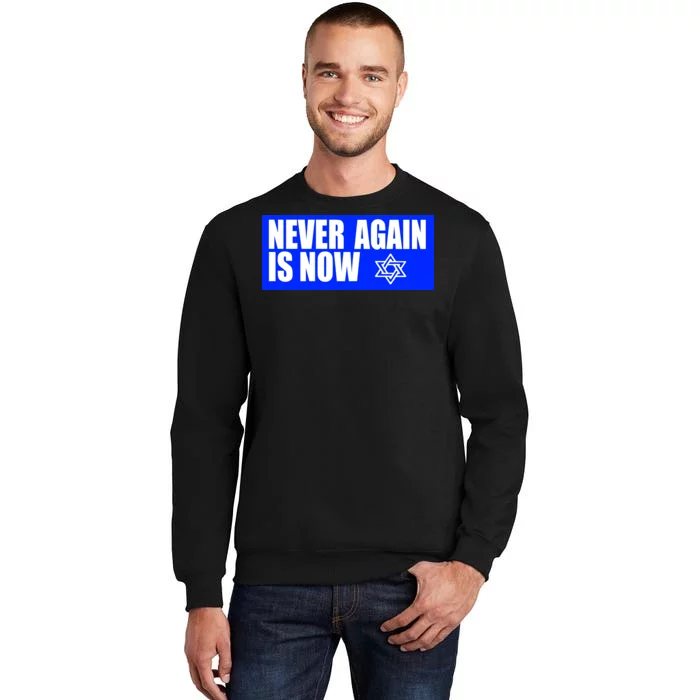 Never Again Is Now Jewish Israel Pride Am Yisrael Chai Sweatshirt