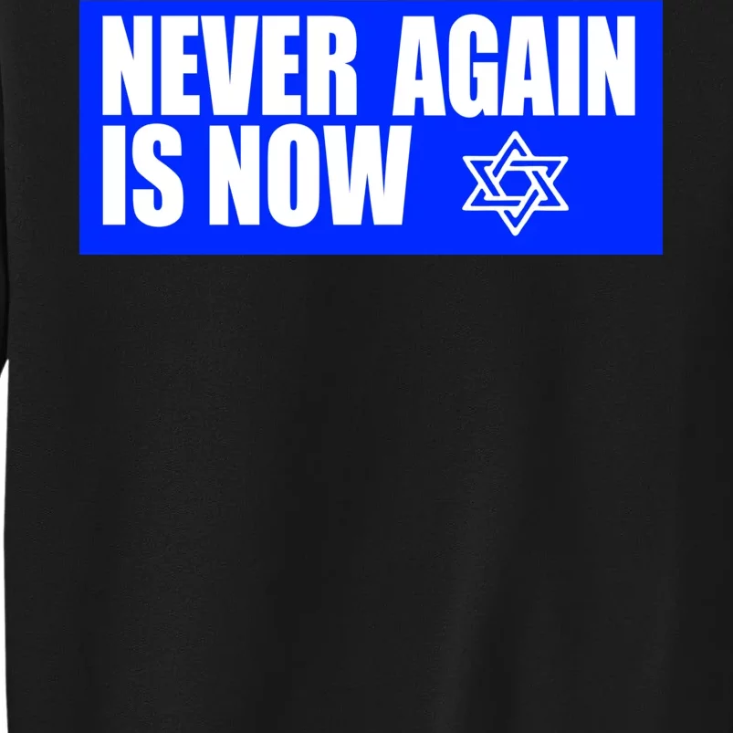 Never Again Is Now Jewish Israel Pride Am Yisrael Chai Sweatshirt