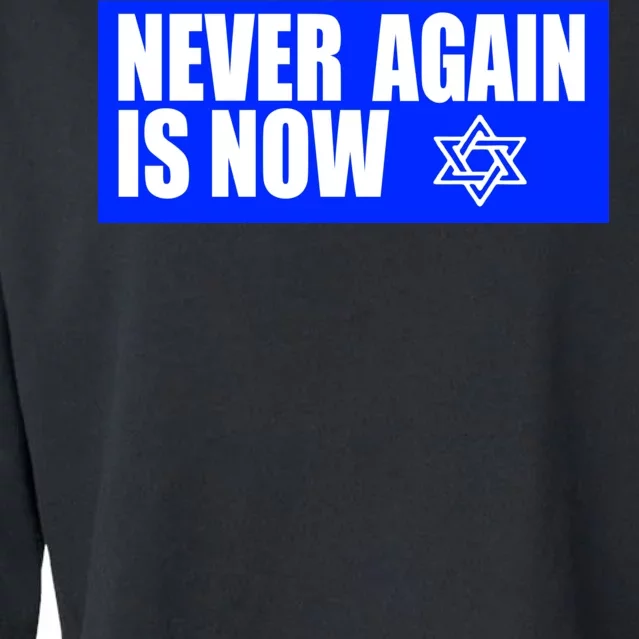 Never Again Is Now Jewish Israel Pride Am Yisrael Chai Cropped Pullover Crew