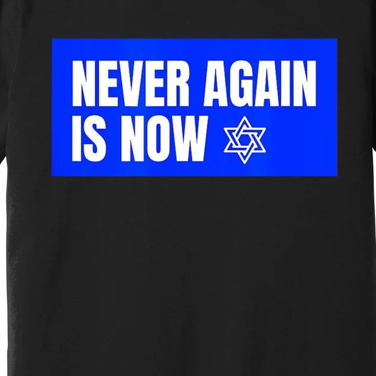 Never Again Is Now Jewish Israel Pride Am Yisrael Chai Premium T-Shirt