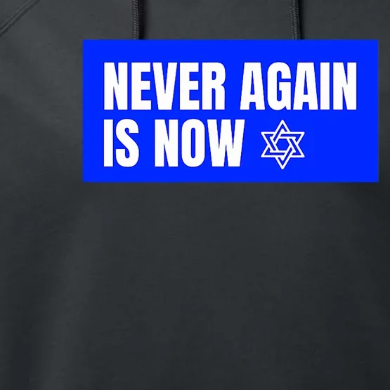 Never Again Is Now Jewish Israel Pride Am Yisrael Chai Performance Fleece Hoodie