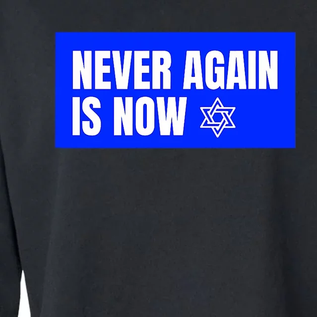 Never Again Is Now Jewish Israel Pride Am Yisrael Chai Cropped Pullover Crew