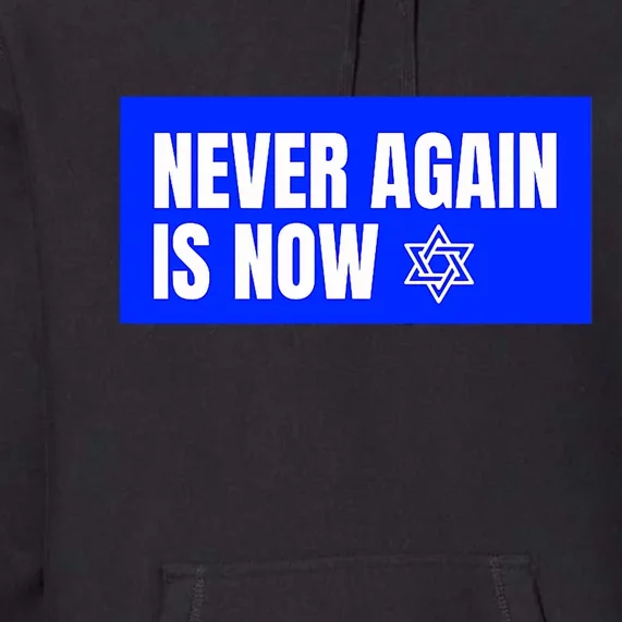 Never Again Is Now Jewish Israel Pride Am Yisrael Chai Premium Hoodie