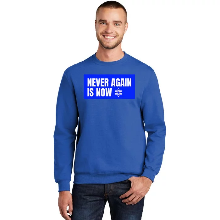 Never Again Is Now Jewish Israel Pride Am Yisrael Chai Sweatshirt