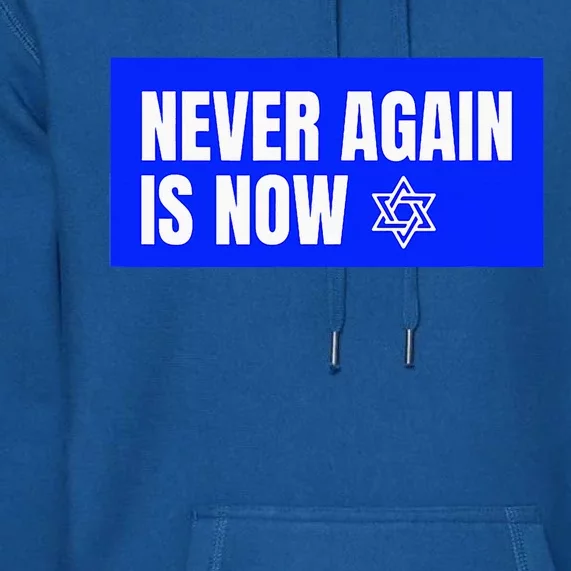 Never Again Is Now Jewish Israel Pride Am Yisrael Chai Premium Hoodie