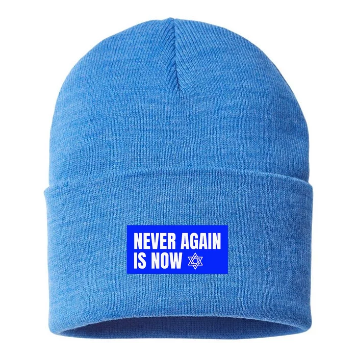 Never Again Is Now Jewish Israel Pride Am Yisrael Chai Sustainable Knit Beanie