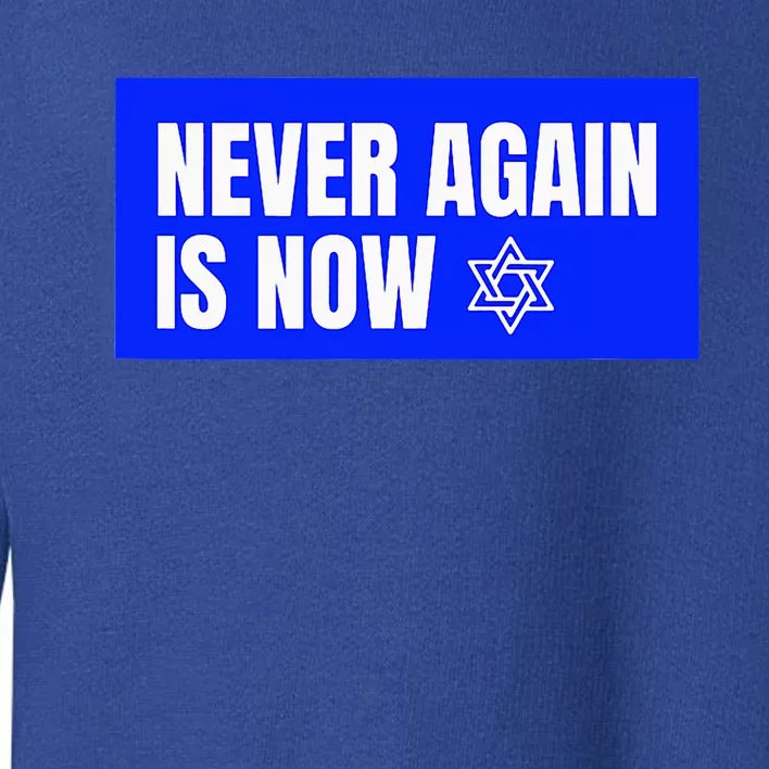 Never Again Is Now Jewish Israel Pride Am Yisrael Chai Toddler Sweatshirt