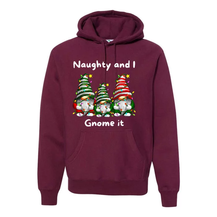 Naughty And I Gnome It Christmas Family Matching Pjs Gnome Premium Hoodie