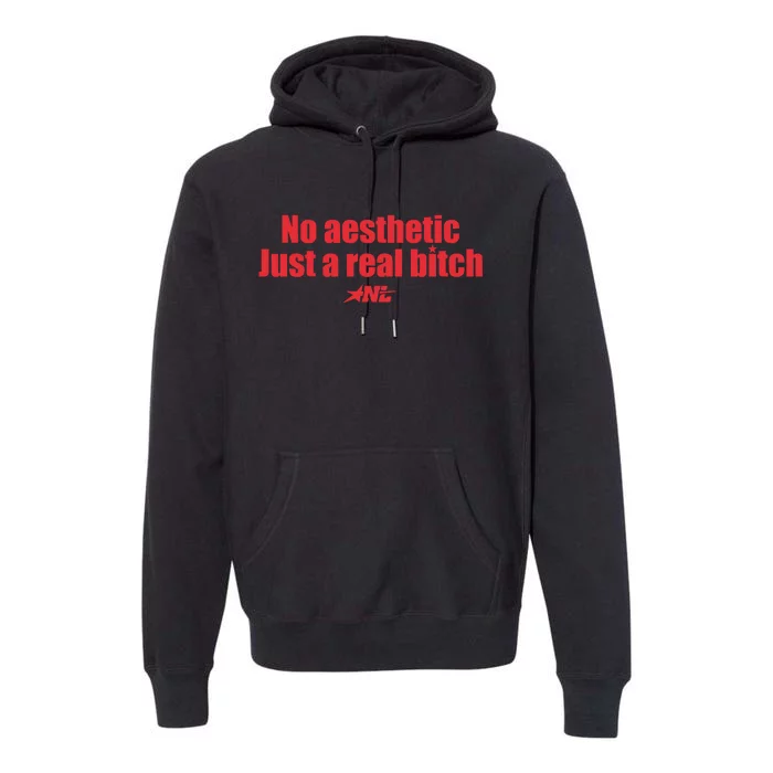 No Aesthetic Just A Real Bitch Nl Premium Hoodie