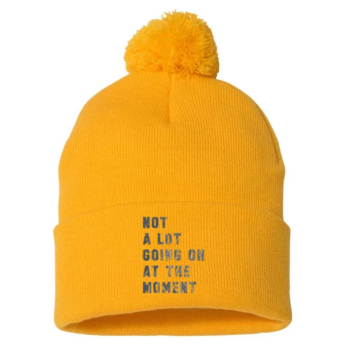 Not A Lot Going On At The Moment Funny Vintage Distressed Pom Pom 12in Knit Beanie