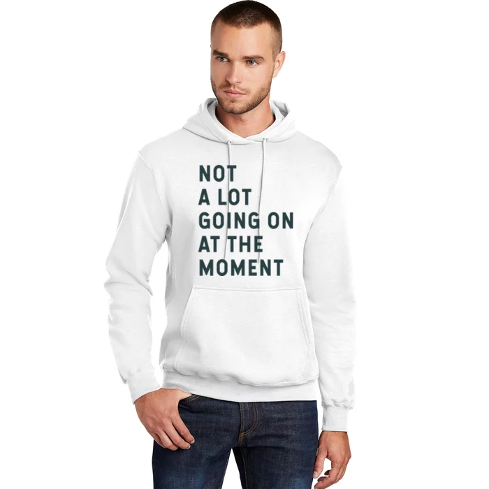 Not A Lot Going On At The Moment Hoodie