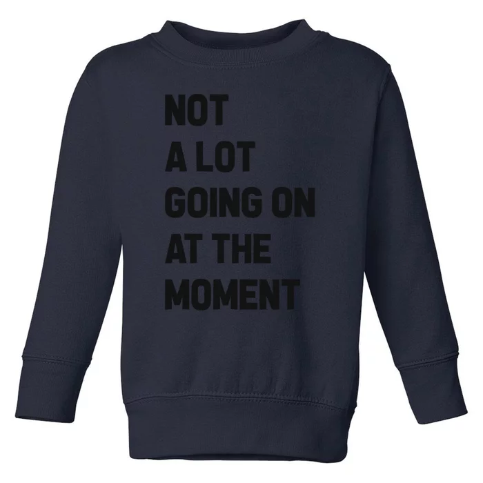 Not A Lot Going On At The Moment Toddler Sweatshirt