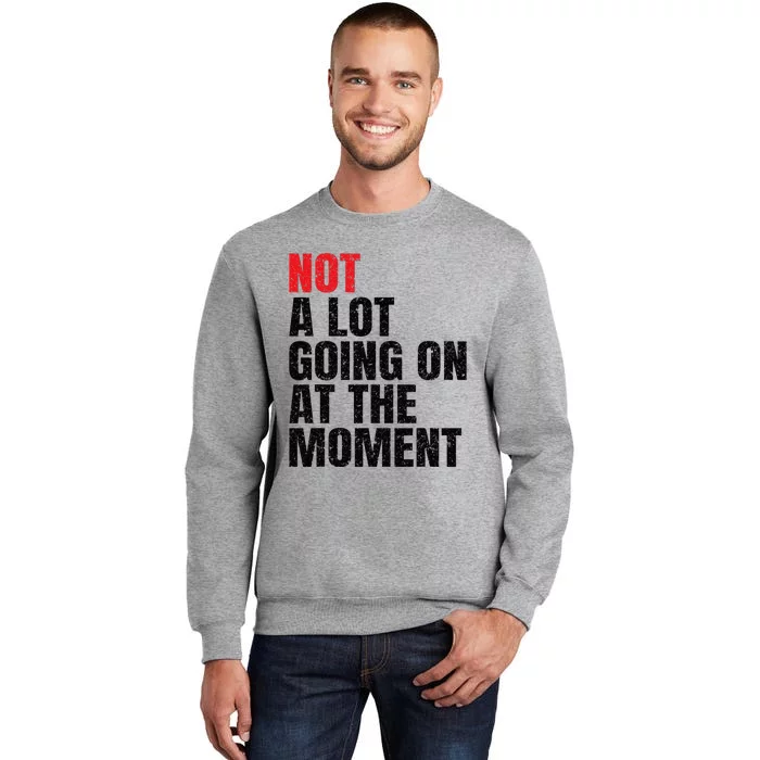 Not a Lot Going on at the Moment Vintage Tall Sweatshirt