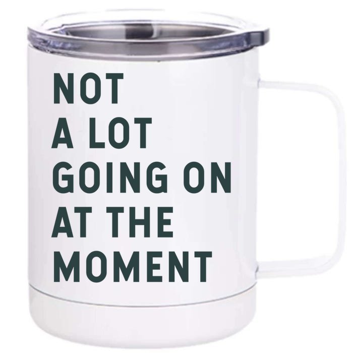 Not A Lot Going On At The Moment Front & Back 12oz Stainless Steel Tumbler Cup