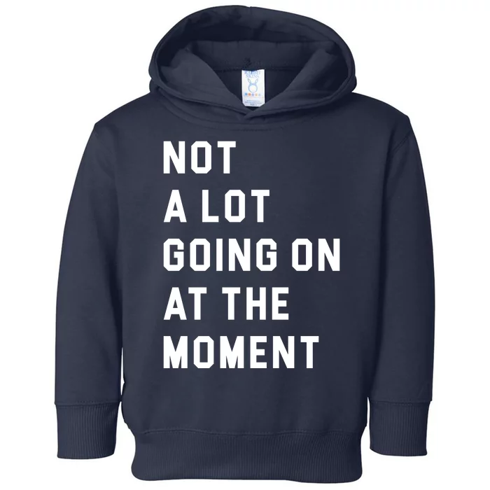 Not A Lot Going On At The Moment Toddler Hoodie