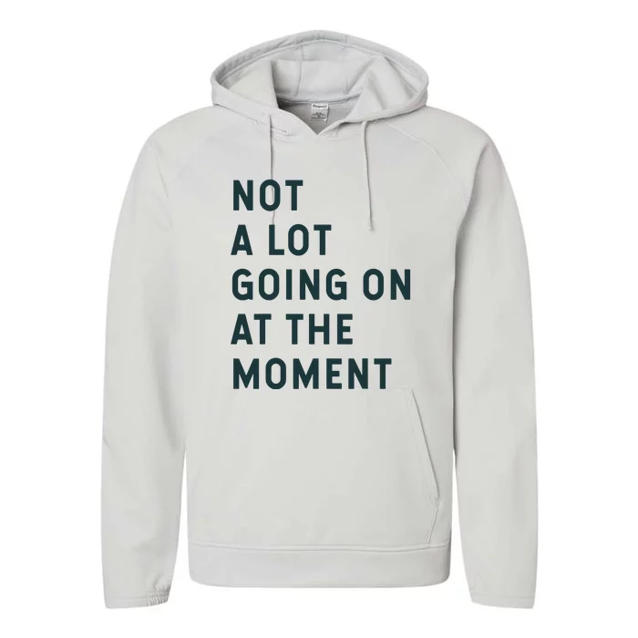 NOT A LOT GOING ON AT THE MOMENT Performance Fleece Hoodie