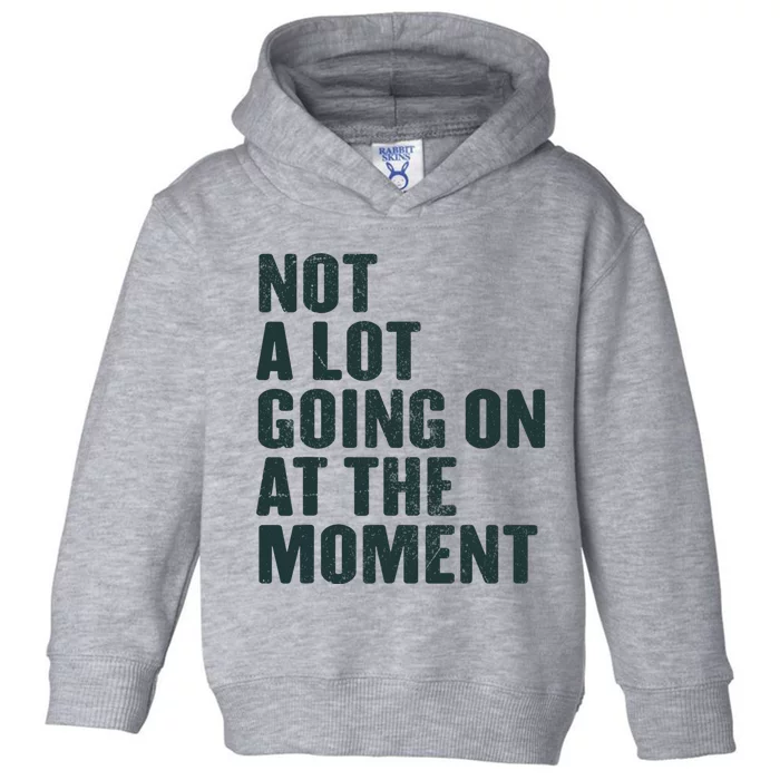 Not A Lot Going On At The Moment Toddler Hoodie