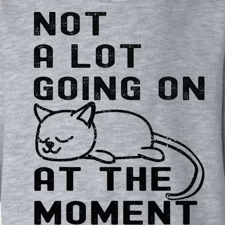 Not A Lot Going On At The Moment Funny Cat  And Teens Toddler Hoodie