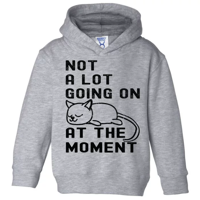 Not A Lot Going On At The Moment Funny Cat  And Teens Toddler Hoodie