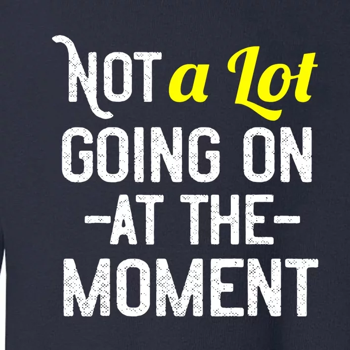 Not A Lot Going On At The Moment Toddler Sweatshirt