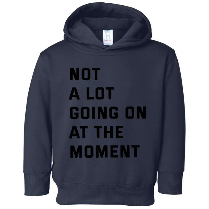 No A Lot Going On At The Moment Toddler Hoodie