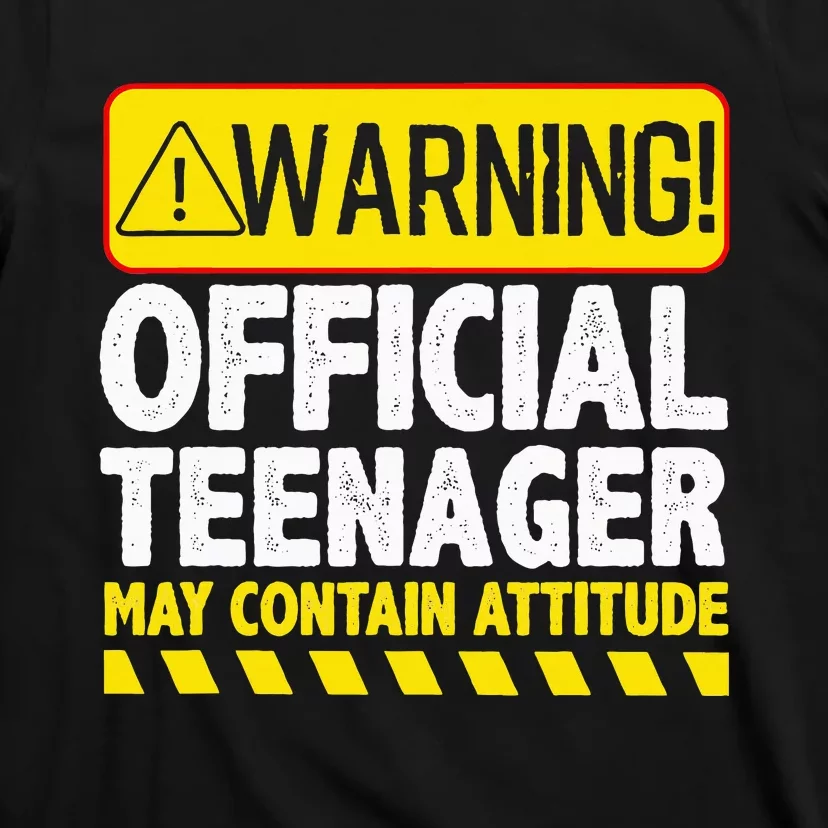 Nager Art N 13 Year Old Bday T-Shirt