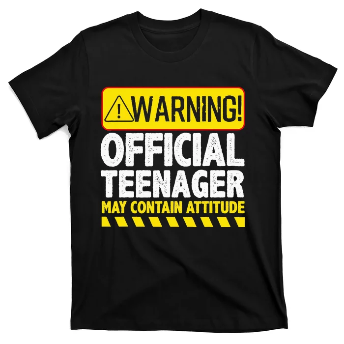 Nager Art N 13 Year Old Bday T-Shirt