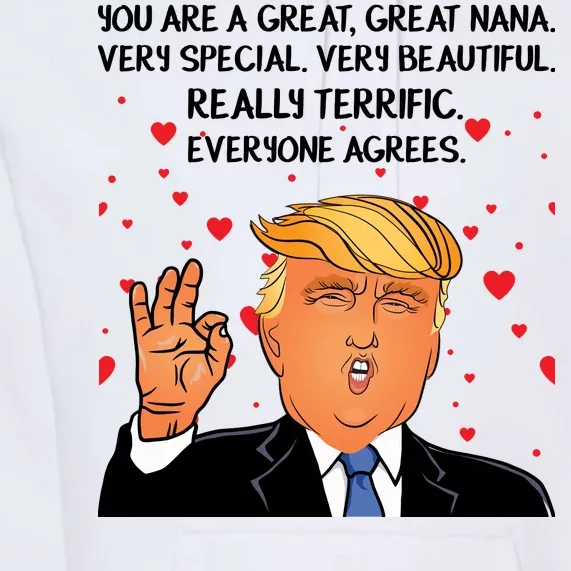 Nana Donald Trump Premium Hoodie