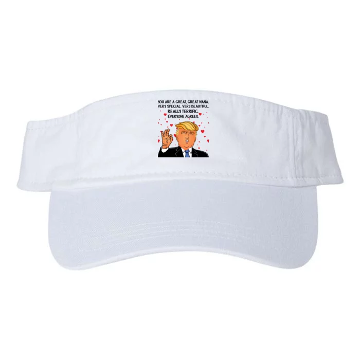 Nana Donald Trump Valucap Bio-Washed Visor