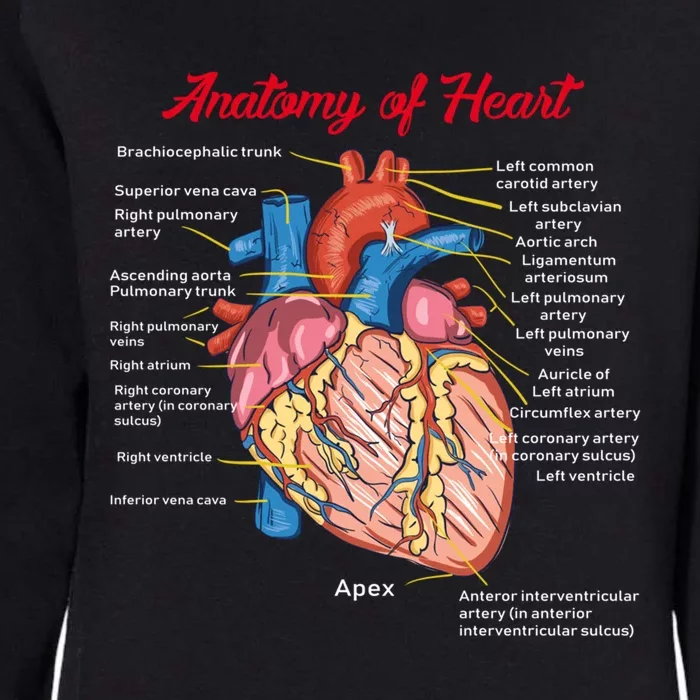 Nurse Anatomy Of Heart Art Cute Gift Womens California Wash Sweatshirt