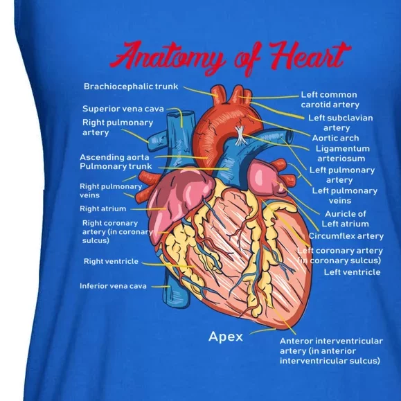 Nurse Anatomy Of Heart Art Cute Gift Ladies Essential Flowy Tank