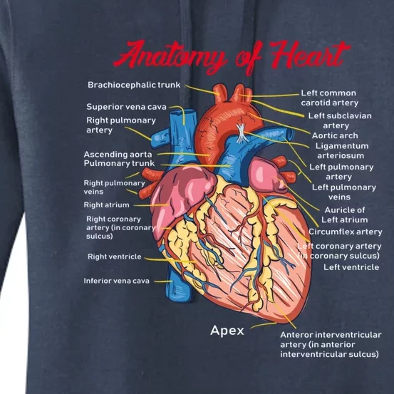 Nurse Anatomy Of Heart Art Cute Gift Women's Pullover Hoodie