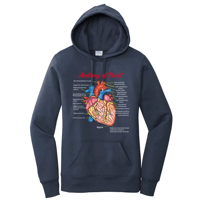 Nurse Anatomy Of Heart Art Cute Gift Women's Pullover Hoodie