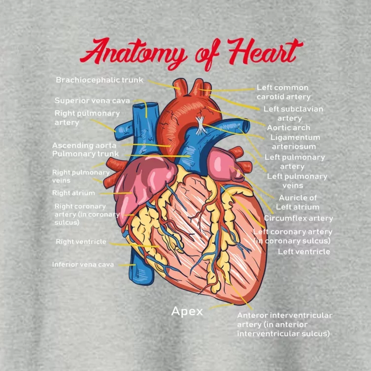 Nurse Anatomy Of Heart Art Cute Gift Women's Crop Top Tee