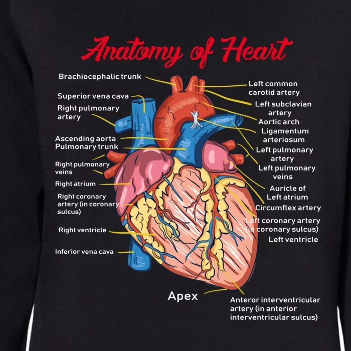 Nurse Anatomy Of Heart Art Gift Womens California Wash Sweatshirt