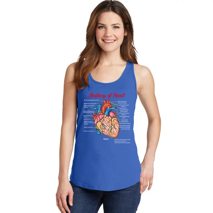 Nurse Anatomy Of Heart Art Gift Ladies Essential Tank