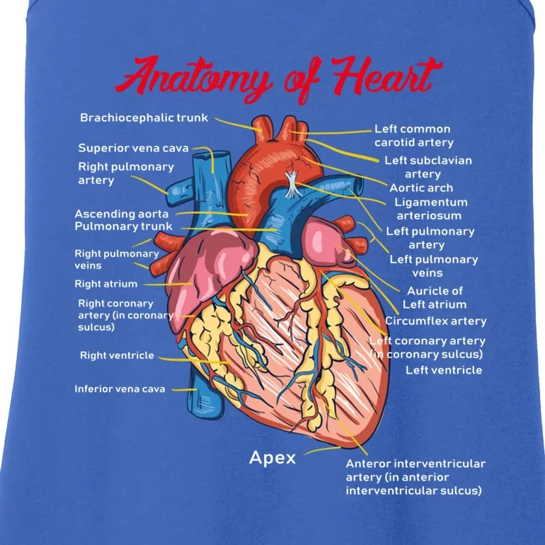 Nurse Anatomy Of Heart Art Gift Ladies Essential Tank