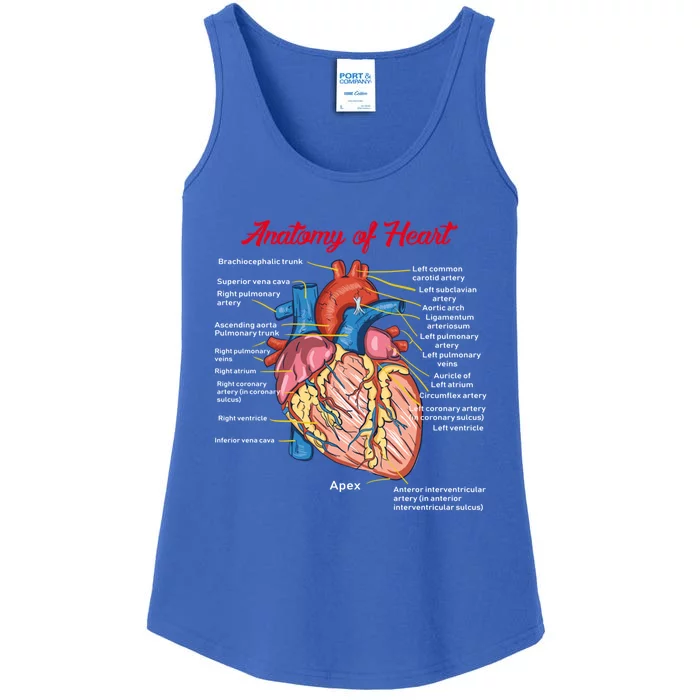 Nurse Anatomy Of Heart Art Gift Ladies Essential Tank