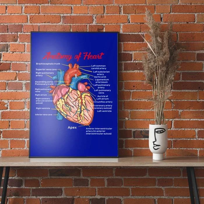 Nurse Anatomy Of Heart Art Gift Poster