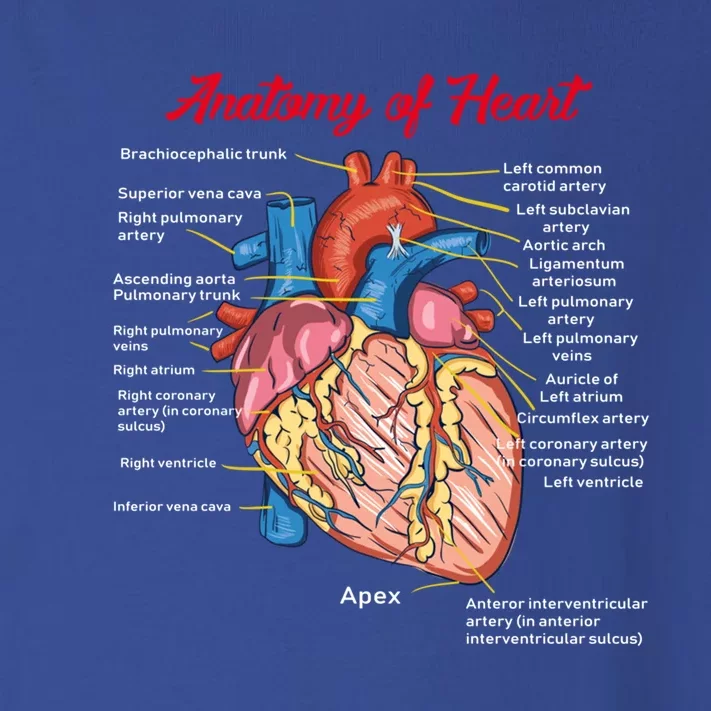 Nurse Anatomy Of Heart Art Gift Toddler Long Sleeve Shirt