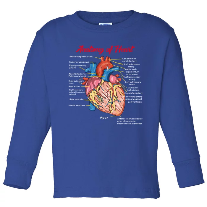 Nurse Anatomy Of Heart Art Gift Toddler Long Sleeve Shirt