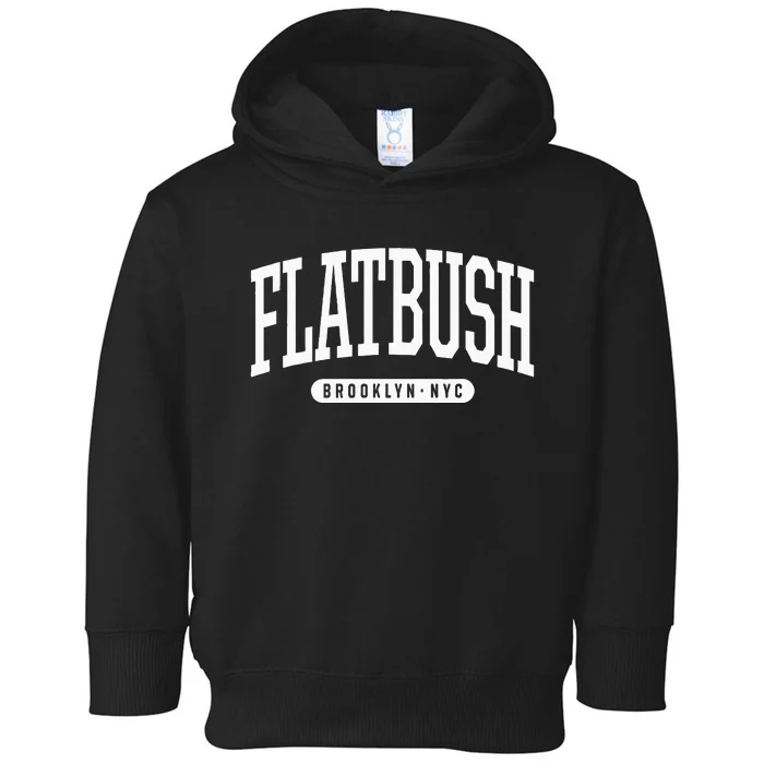 Nyc Borough Flatbush Brooklyn New York Toddler Hoodie