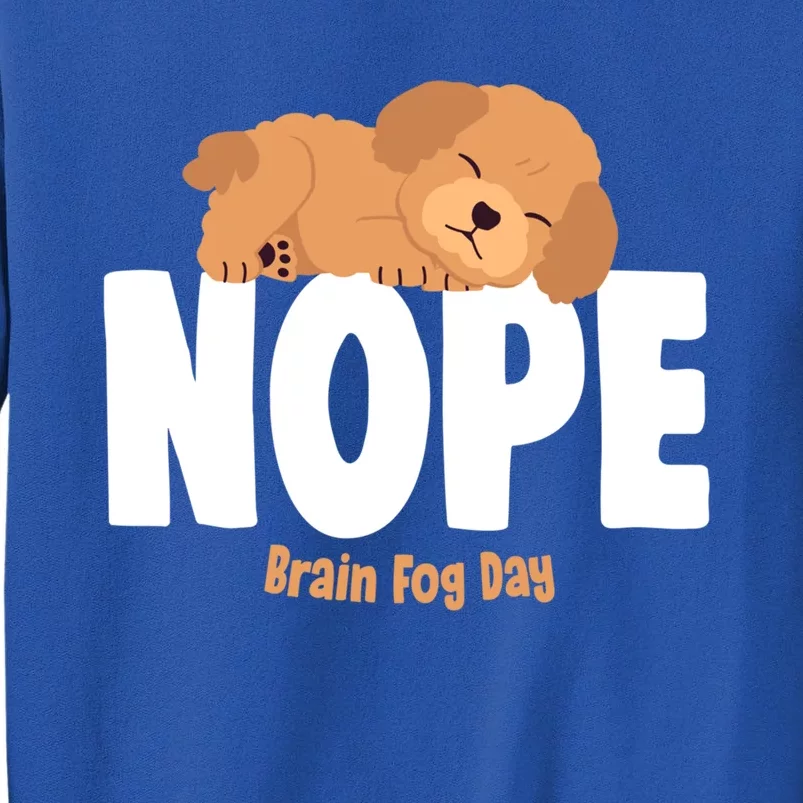 Nope Brain Fog Day Lupus Awareness Fibromyalgia Fibro Great Gift Tall Sweatshirt