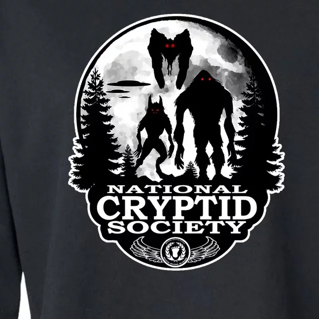 National Cryptid Society Mothman Cropped Pullover Crew