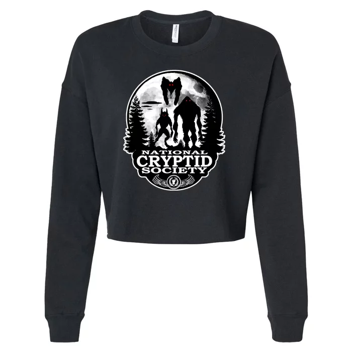 National Cryptid Society Mothman Cropped Pullover Crew