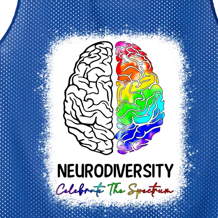 Neurodiversity Clebrate Spectrum Autism Awareness Acceptance Funny Gift Mesh Reversible Basketball Jersey Tank