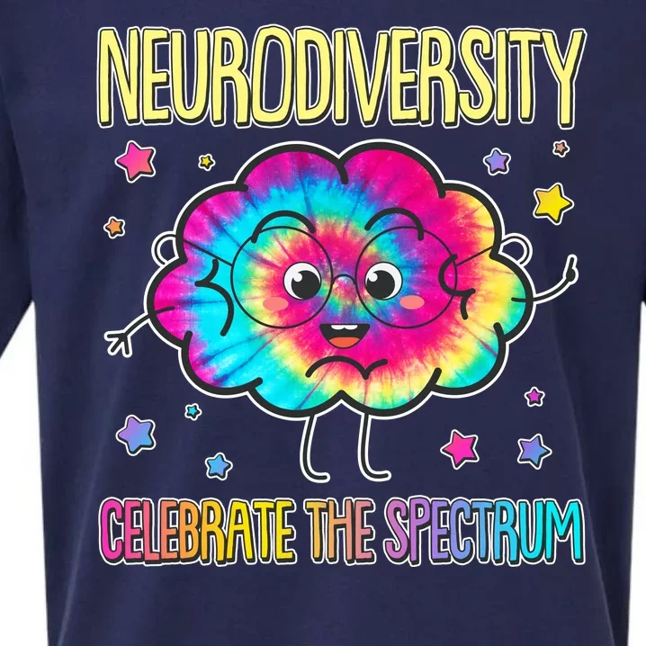 Neurodiversity Celebrate The Spectrum Sueded Cloud Jersey T-Shirt