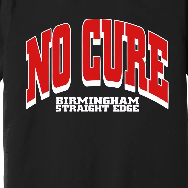 No Cure Xxx No Cure Birmingham Straight Edge Premium T-Shirt